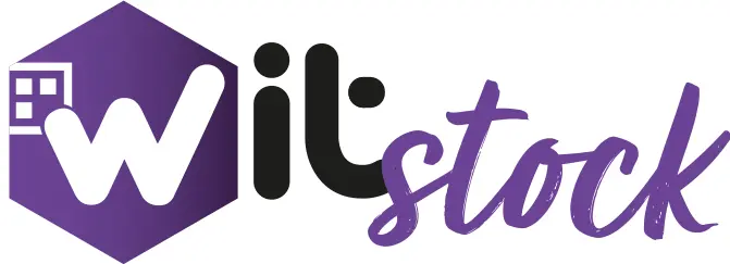 logo-witstock