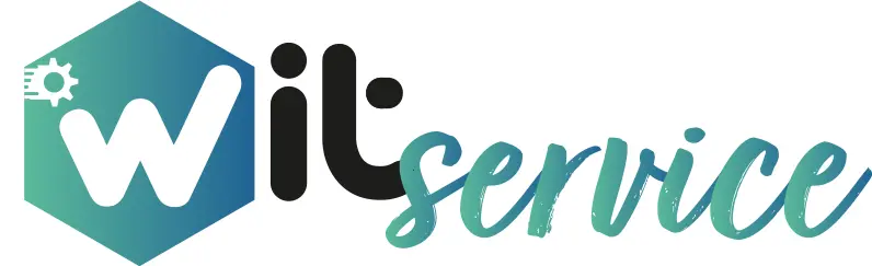 logo-witservice