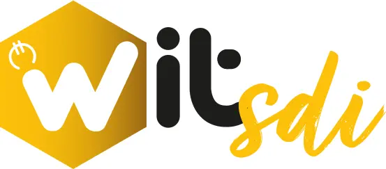 logo-witsdi