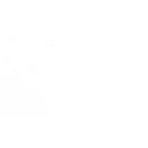 witservice-gif3